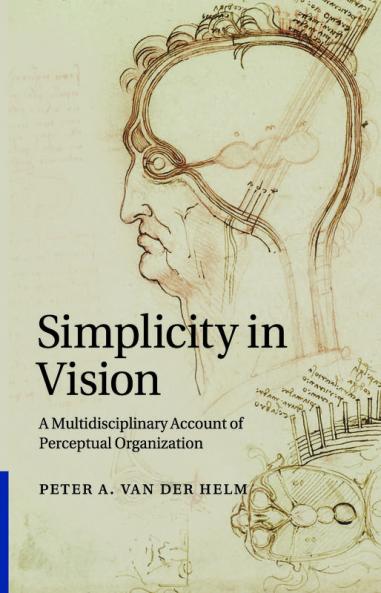 Simplicity in Vision
