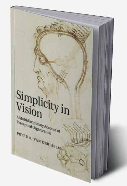 Simplicity in Vision