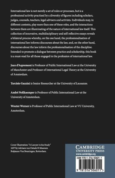 International Law as a Profession
