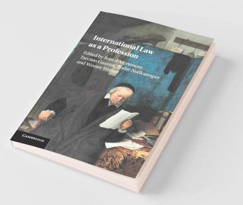 International Law as a Profession