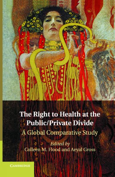 The Right to Health at the Public/Private Divide