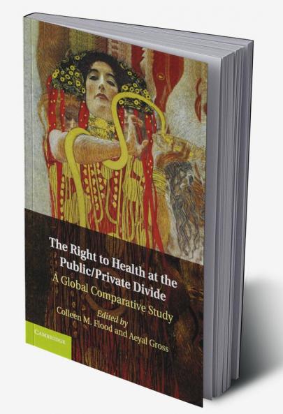 The Right to Health at the Public/Private Divide