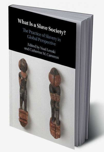 What is a Slave Society?