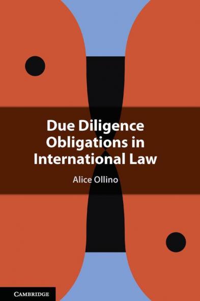 Due Diligence Obligations in International Law