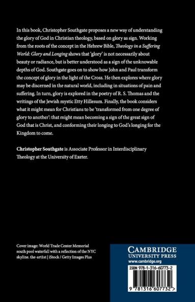 Theology in a Suffering World