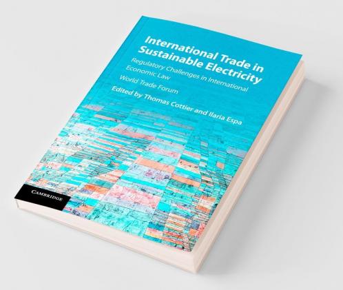 International Trade in Sustainable Electricity
