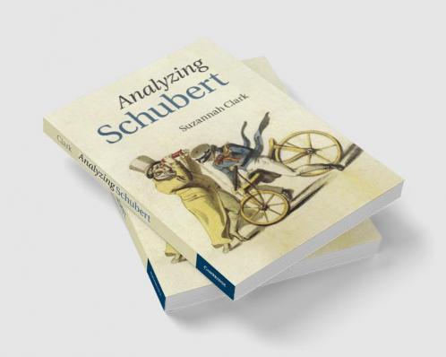 Analyzing Schubert