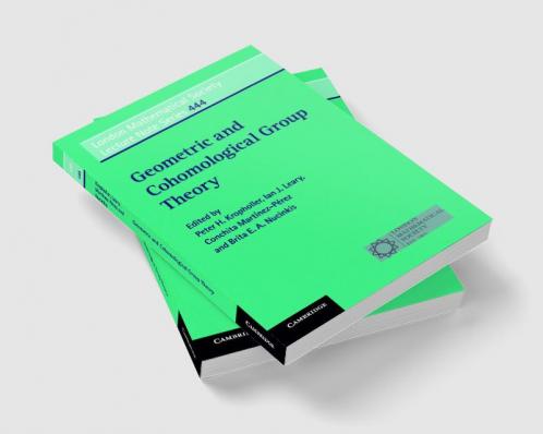 Geometric and Cohomological Group Theory