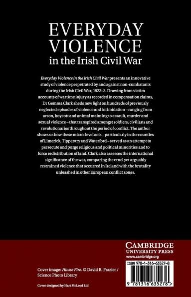 Everyday Violence in the Irish Civil War