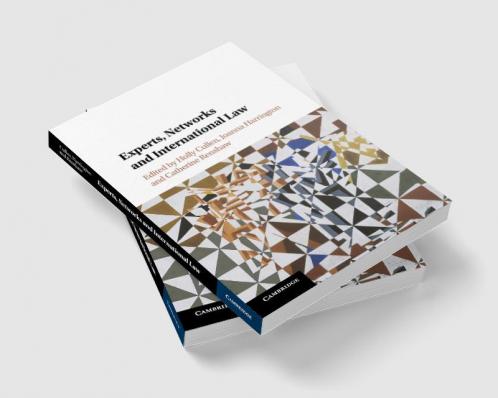 Experts Networks and International Law