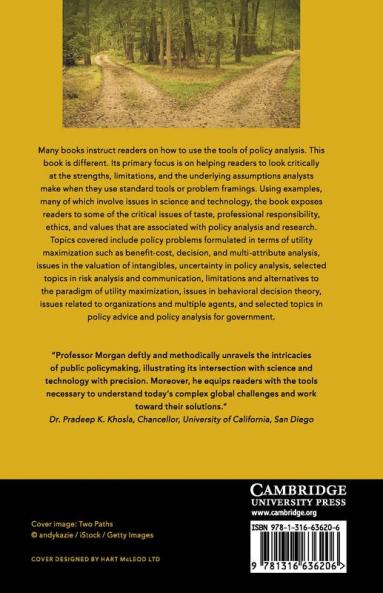 Theory and Practice in Policy Analysis