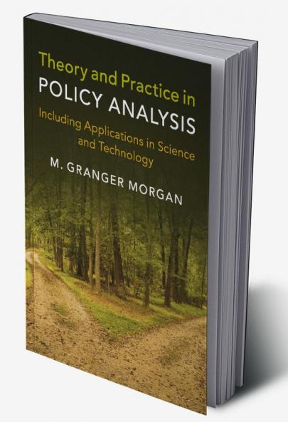 Theory and Practice in Policy Analysis