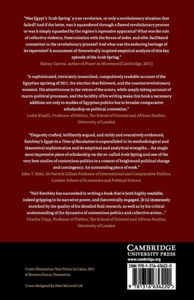 Egypt in a Time of Revolution