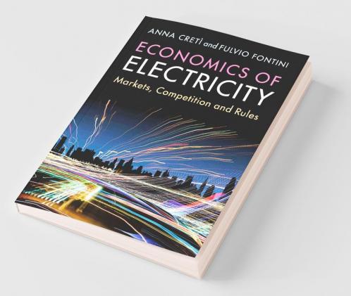 Economics of Electricity