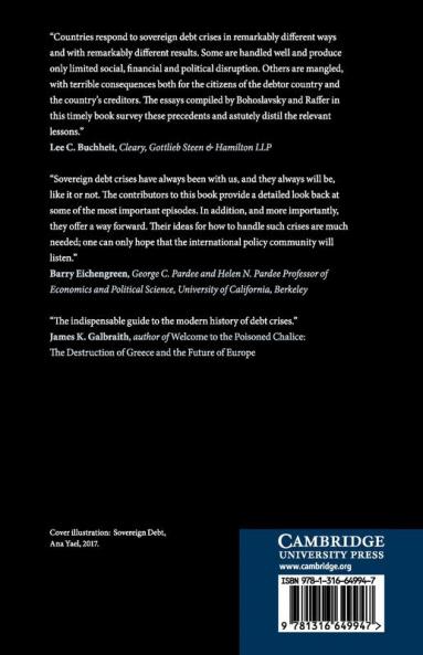 Sovereign Debt Crises