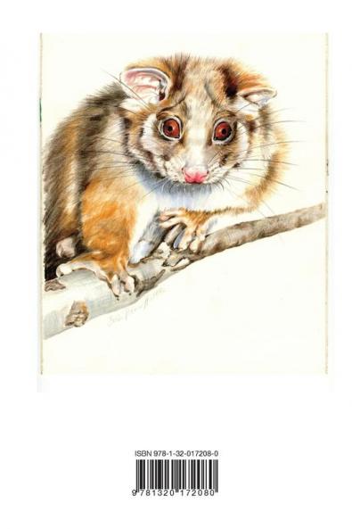 Arboreal Marsupials - Caring for Possums and Gliders