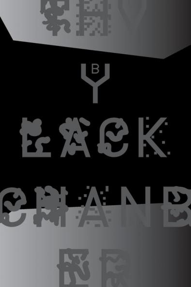 The Black Chamber. Surveillance paranoia invisibility & the internet