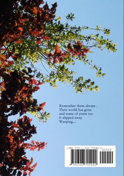 When one world slipped away