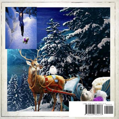STARLETT'S SECRET ~ 'TWAS THE NIGHT BEFORE CHRISTMAS