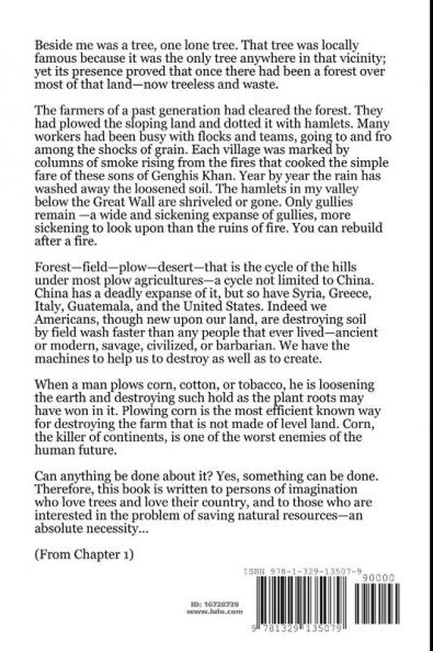 Tree Crops A Permanent Agriculture