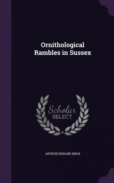 Ornithological Rambles in Sussex