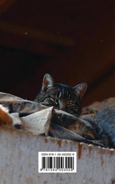 Kid's Petite Barn Cat Journal