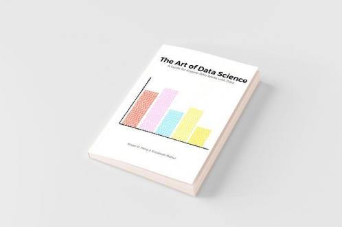 The Art of Data Science