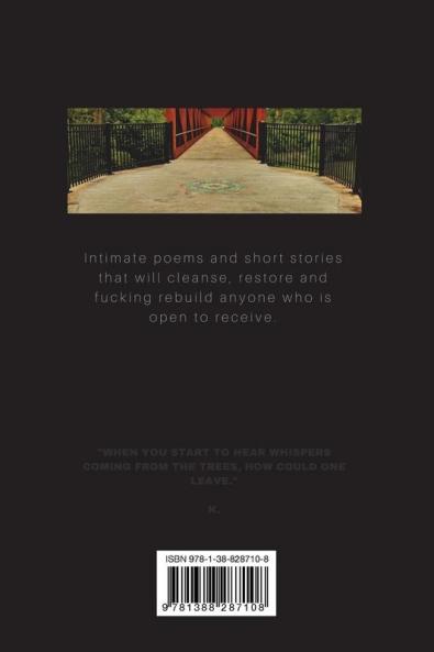 Heals Feels & Pills: Book of Poerty & short stories Vol 1