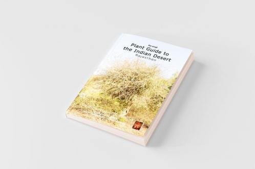 The Small Plant Guide to the Desert Plants