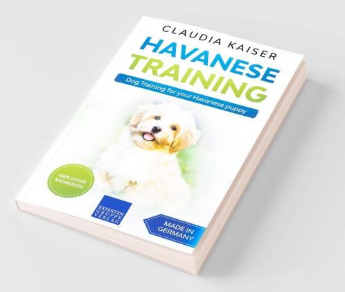 Havanese Training