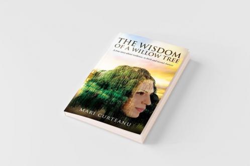 The Wisdom of a Willow Tree