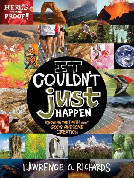 It Couldn't Just Happen | Softcover