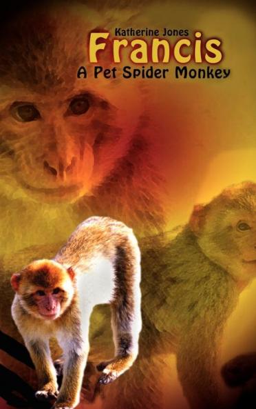 Francis A Pet Spider Monkey