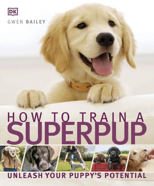 How to Train a Superpup : Unleash your p