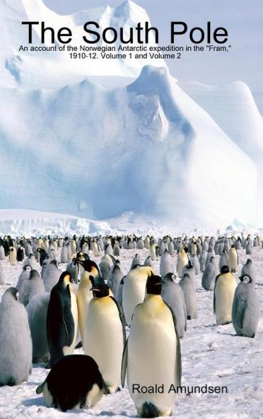 The South Pole
