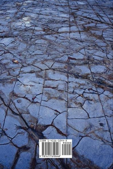 The Founding Papers Vol. 2