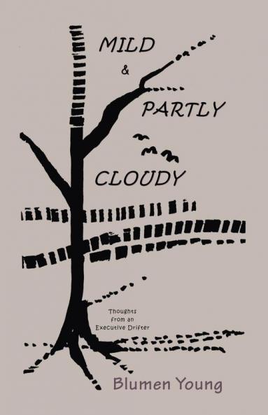 Mild and Partly Cloudy