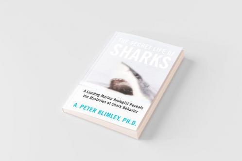 The Secret Life of Sharks