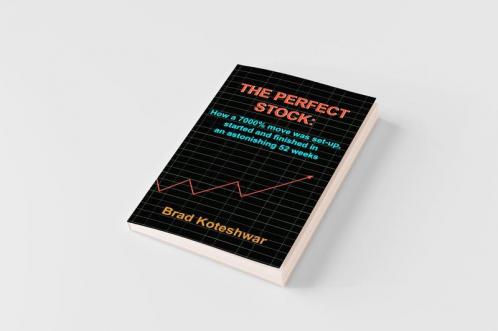 THE PERFECT STOCK