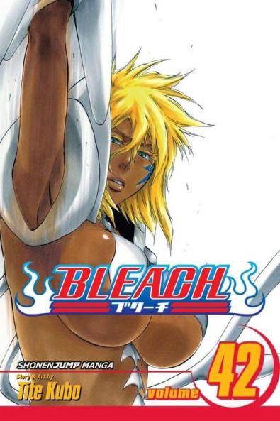 Bleach Vol. 42