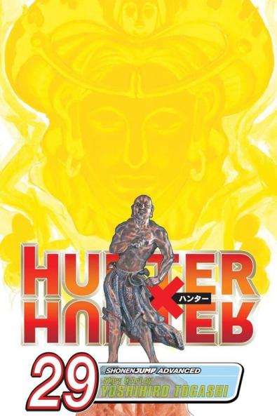 HUNTER X HUNTER VOL. 29