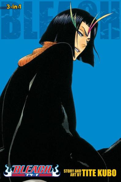 BLEACH: 3-IN-1 EDITION 13