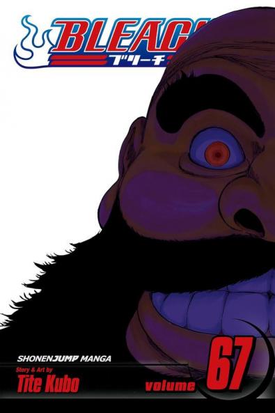 BLEACH 67
