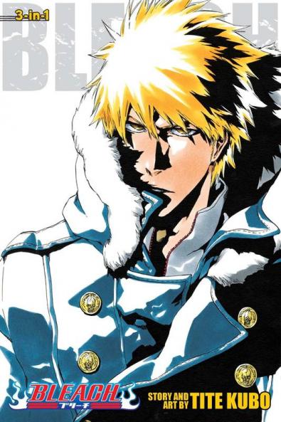 BLEACH: 3-IN-1 EDITION 17