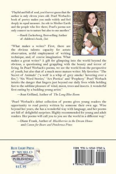 What The Wind Taught Me