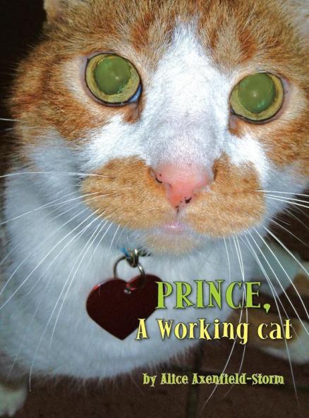Prince A Working cat