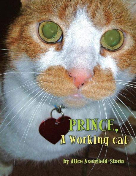 Prince A Working cat