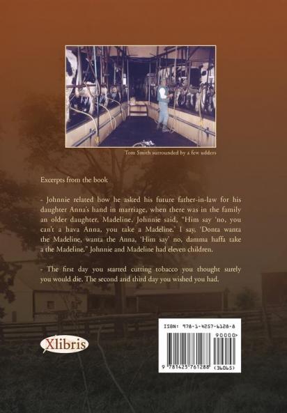 Liberty Square Observed and Noted