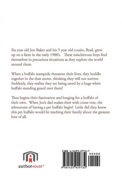 Buffalo Friend: Great Stories By "Gramma Great"