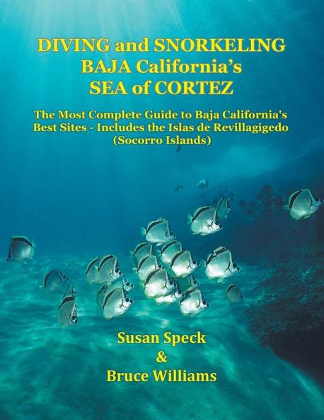Diving and Snorkeling Baja California's Sea of Cortez